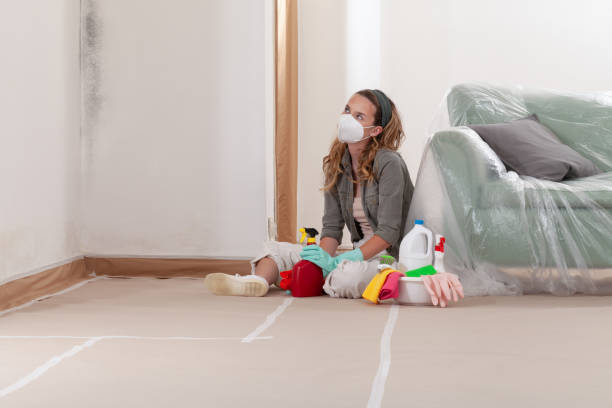 Reliable Mold Remediation contractor in North Fort Myers, FL by WQB Mold Removal